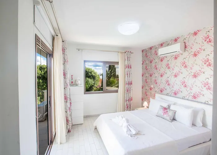 Demetra De1 プロタラス